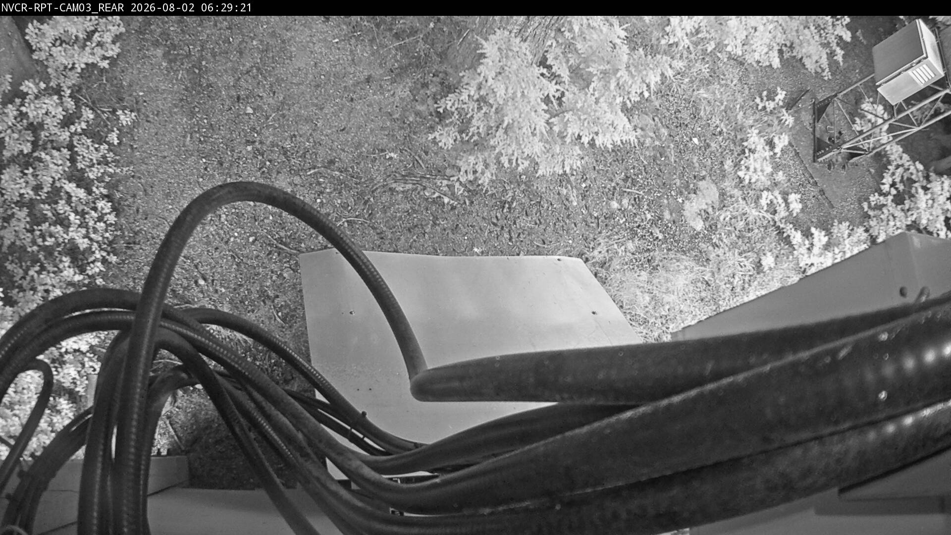 Web Cam History Image - 373