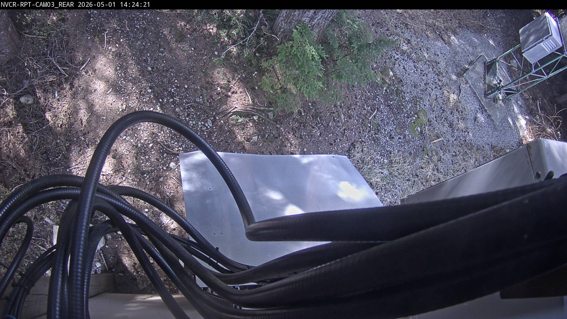 Web Cam History Image - 375