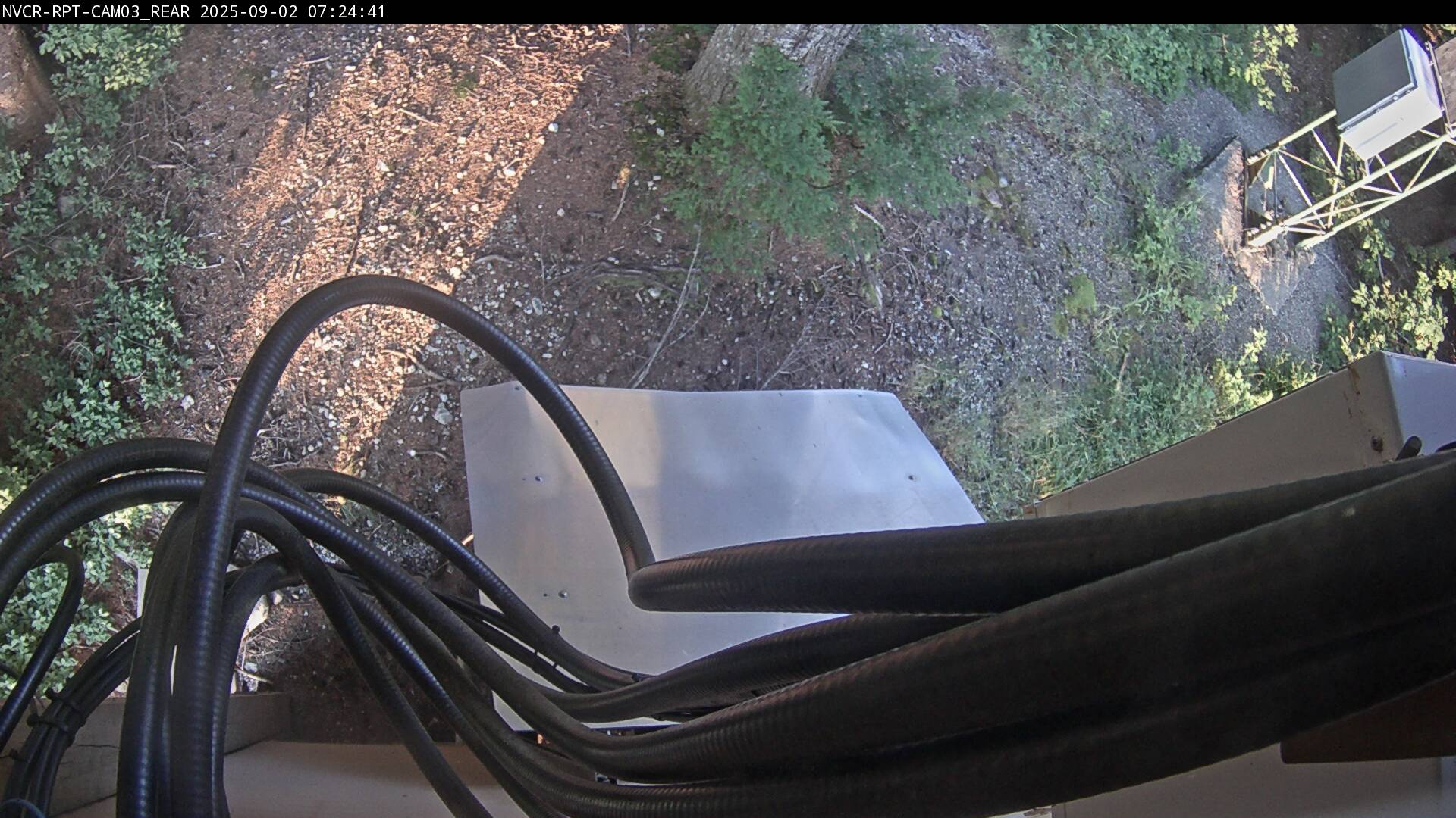 Web Cam History Image - 376