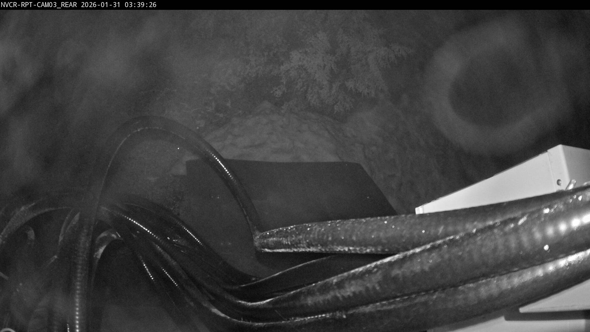 Web Cam History Image - 376