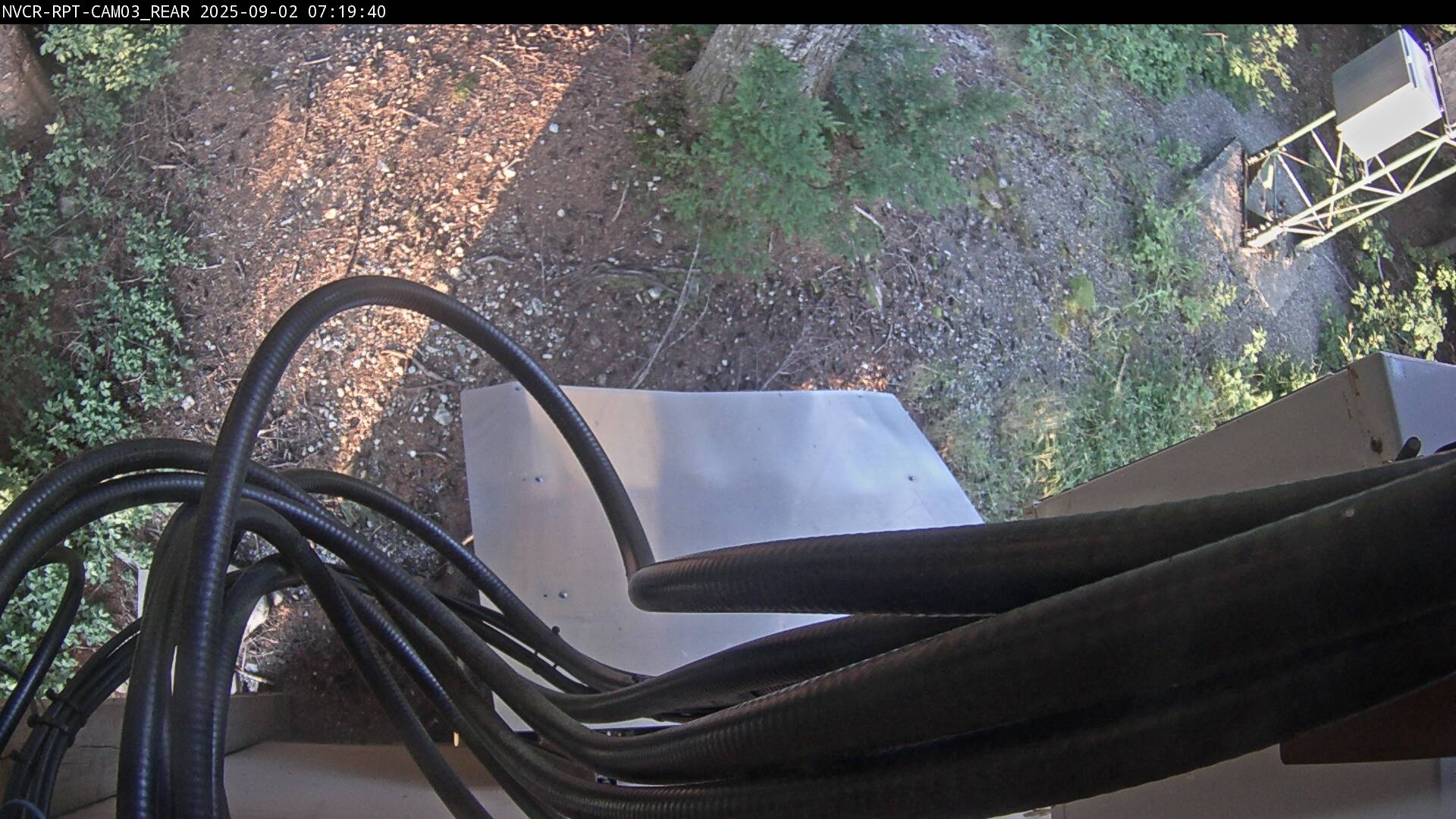 Web Cam History Image - 377