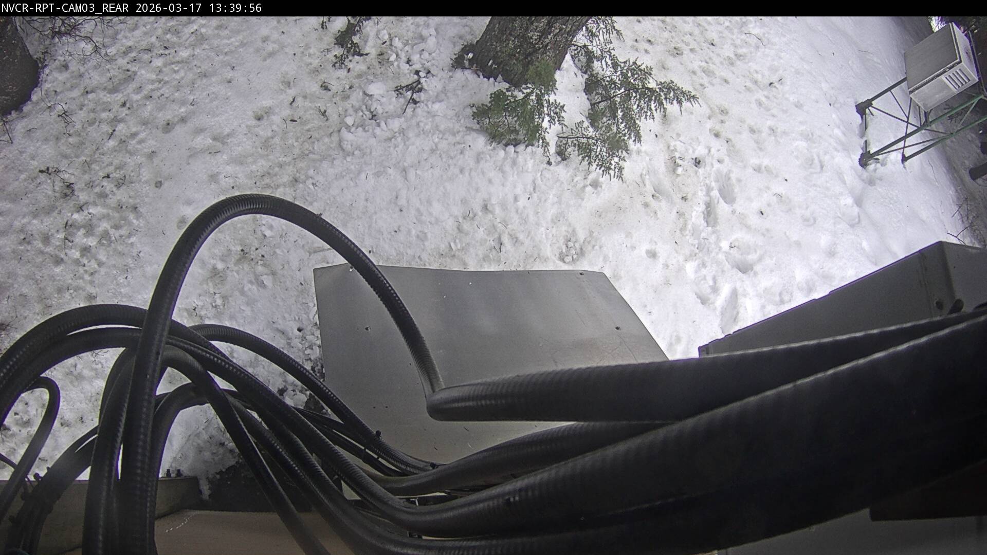 Web Cam History Image - 377