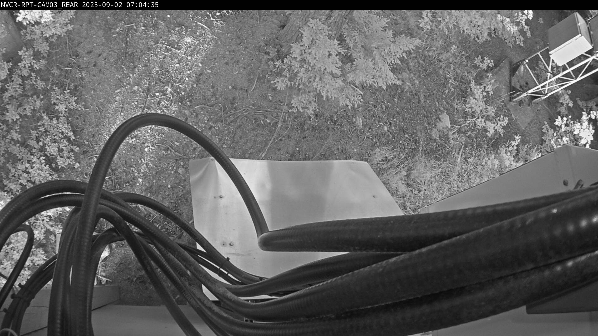 Web Cam History Image - 379