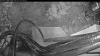 Web Cam Image - Thu, 05/14/2026 4:39am PDT