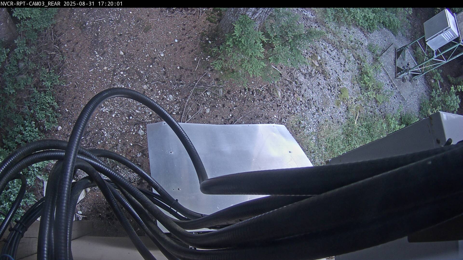Web Cam History Image - 39