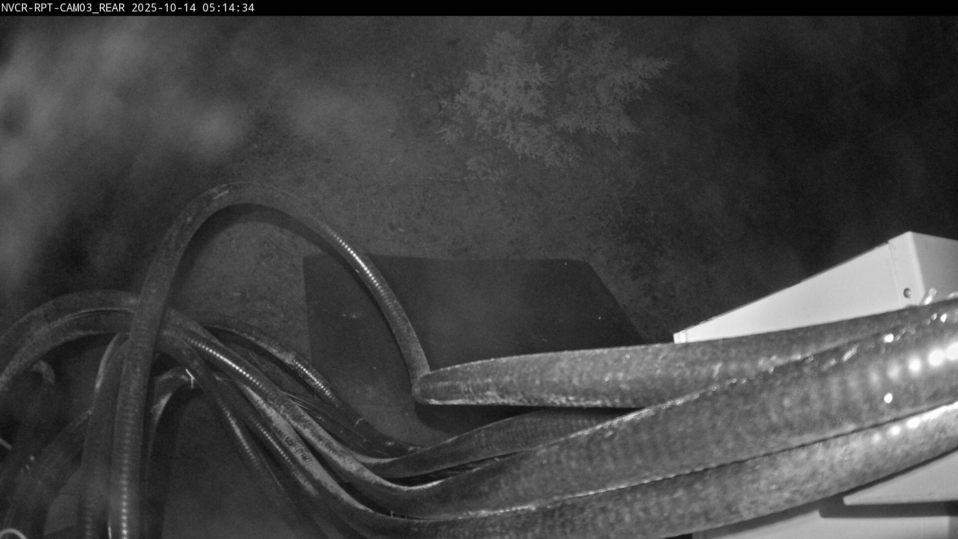 Web Cam History Image - 39