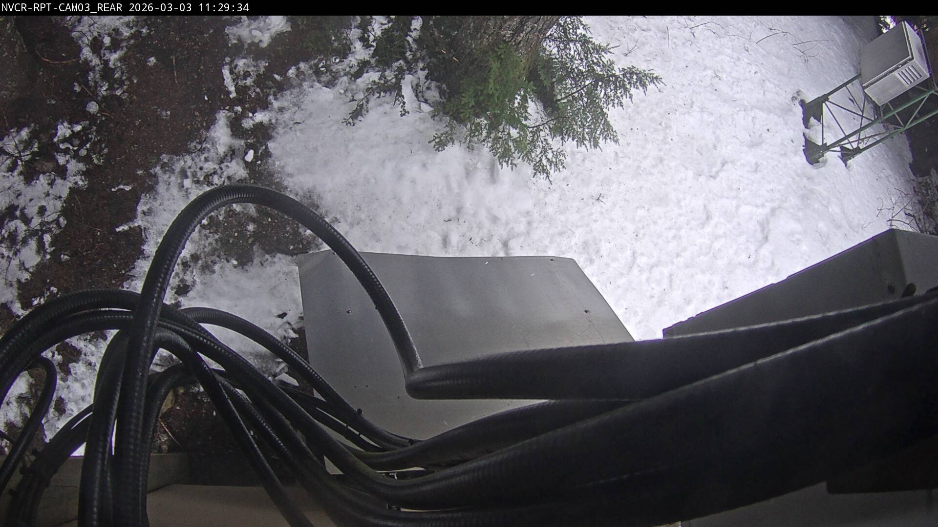 Web Cam History Image - 39