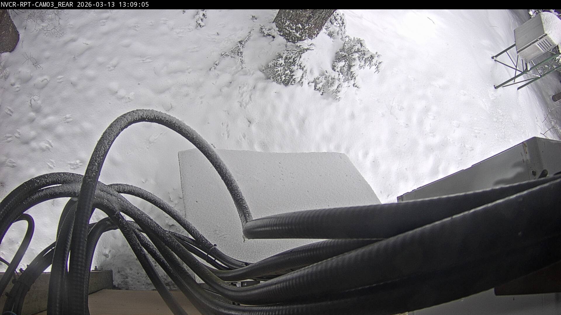 Web Cam History Image - 39