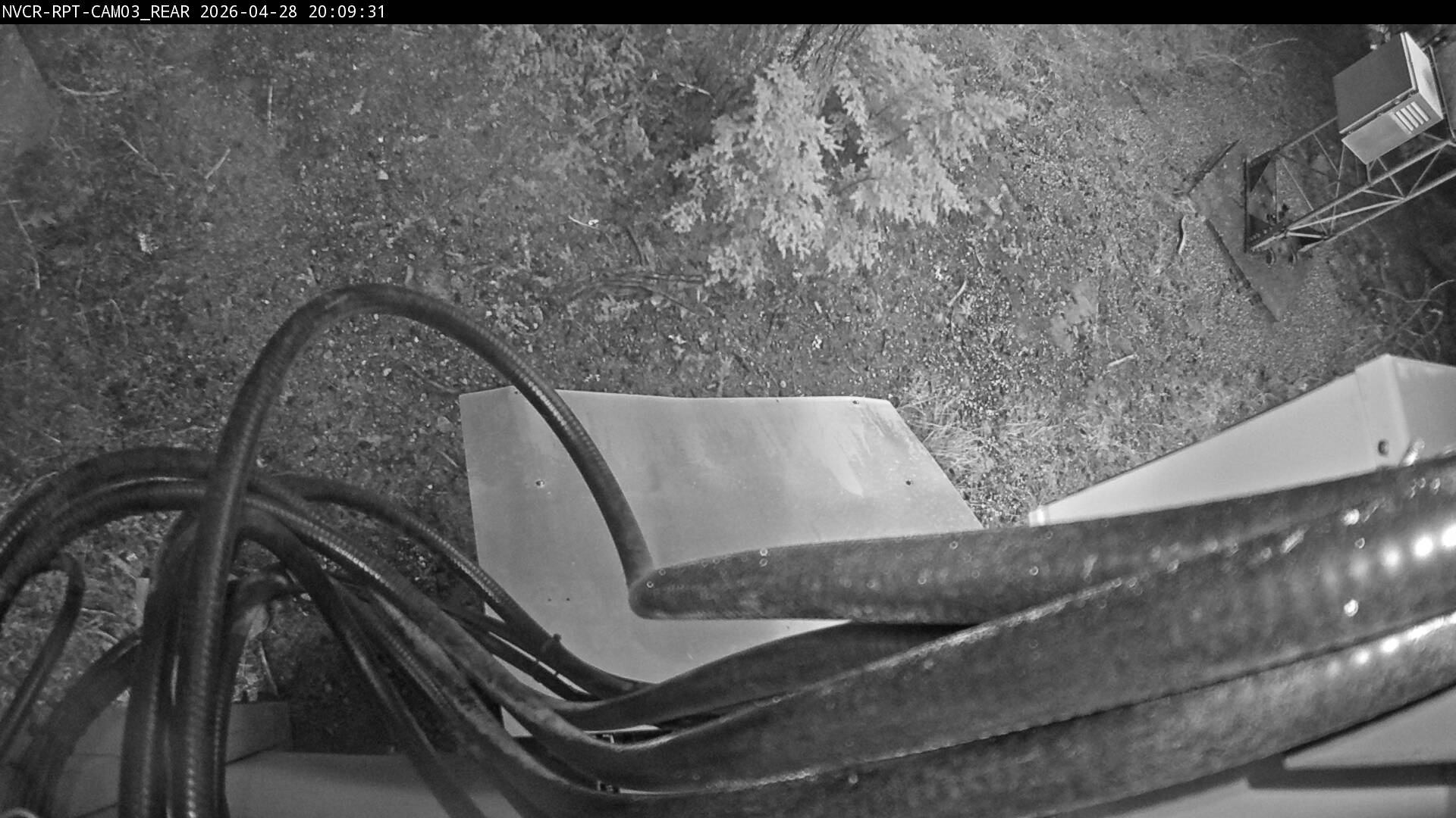 Web Cam History Image - 39