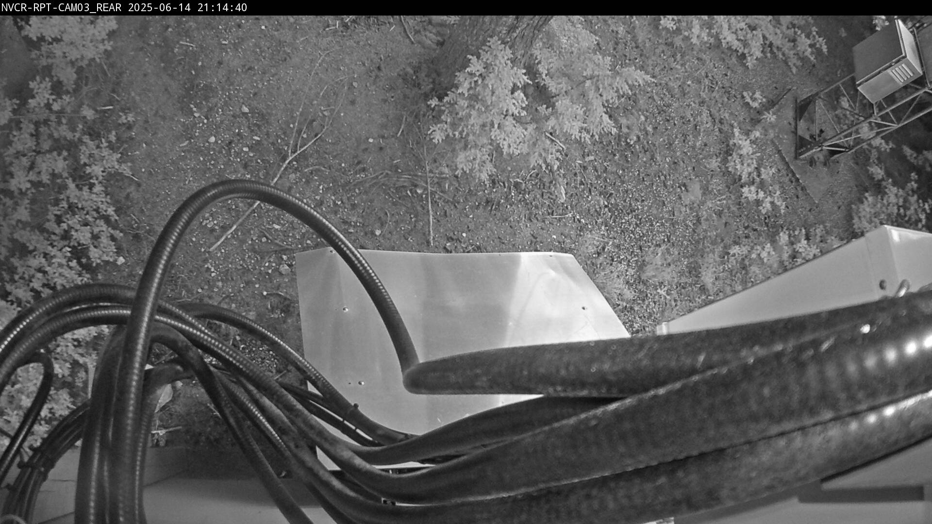 Web Cam History Image - 381