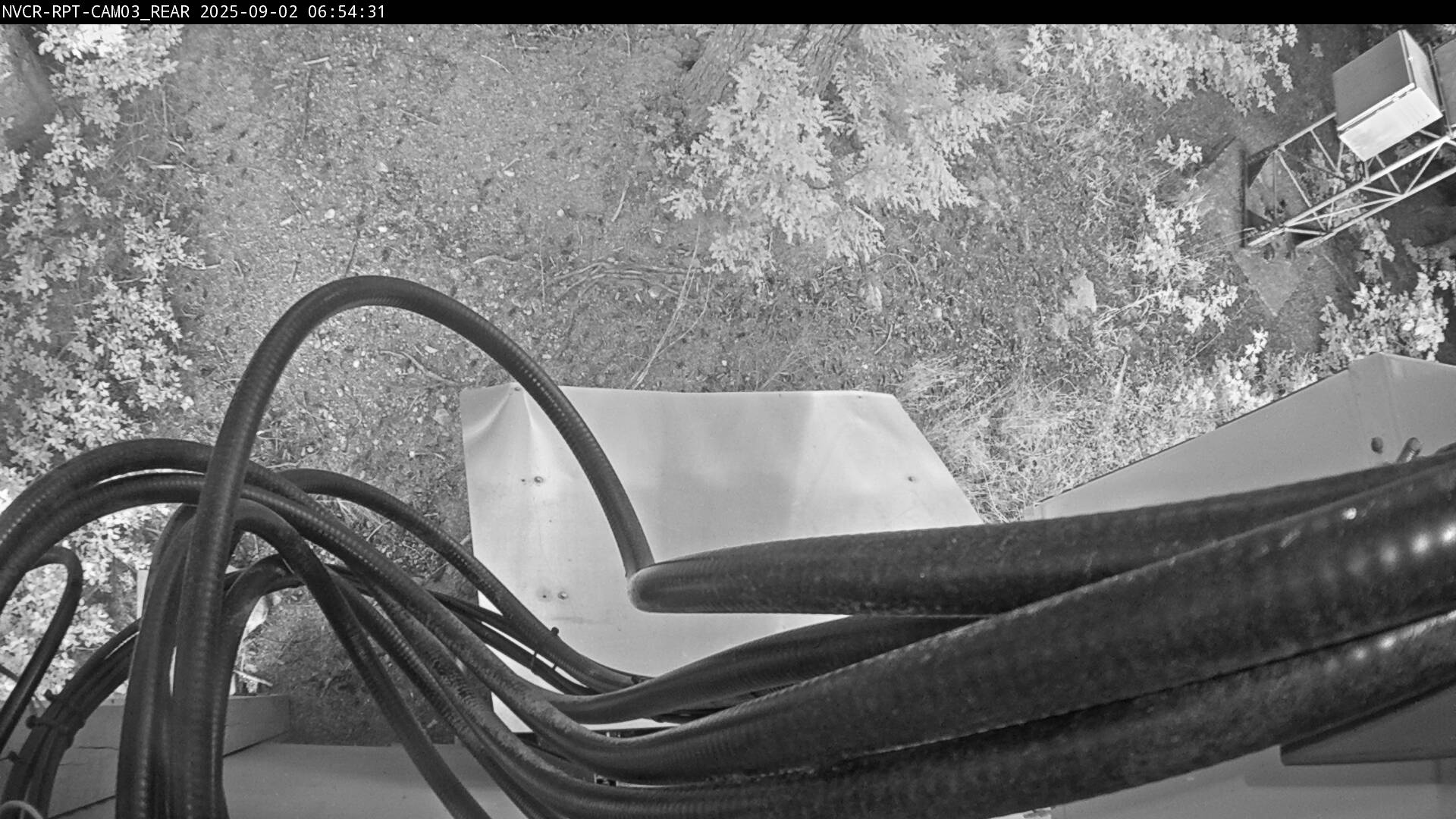Web Cam History Image - 381