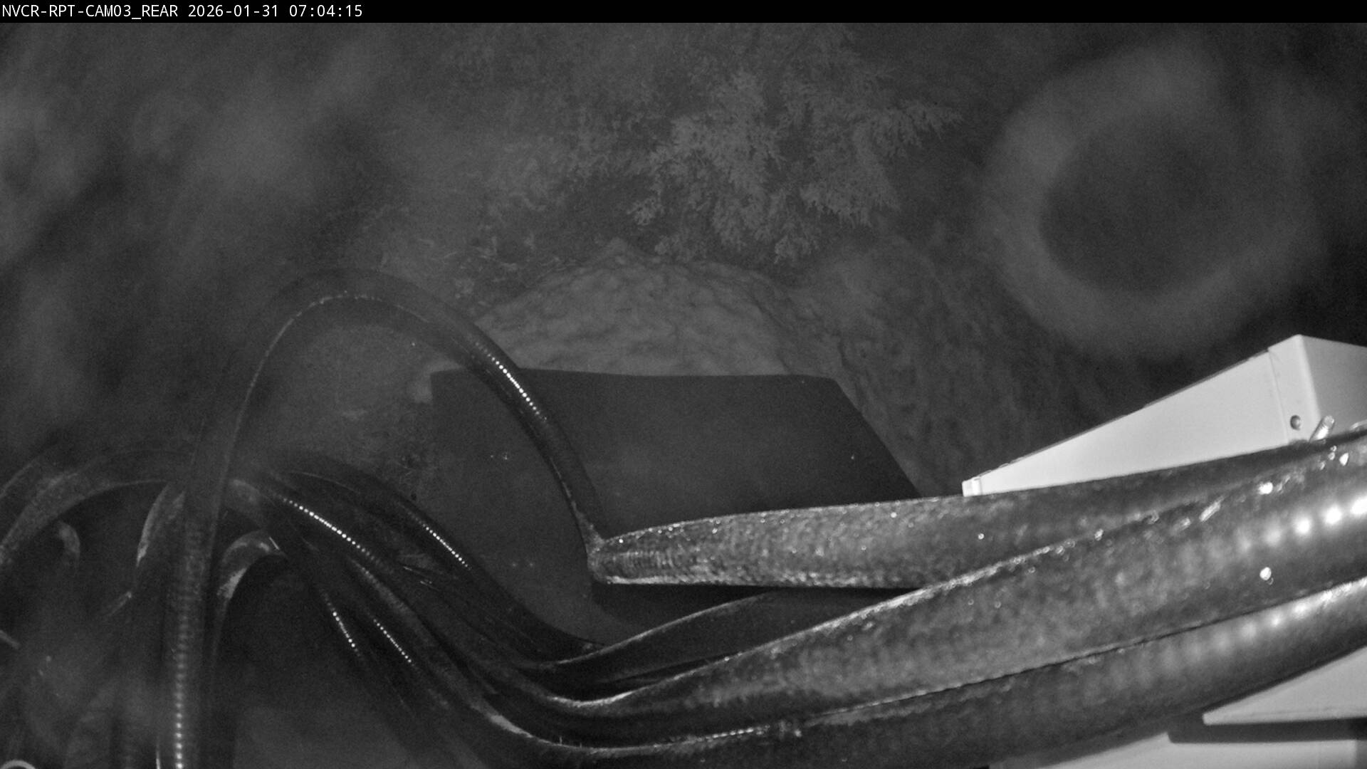 Web Cam History Image - 382