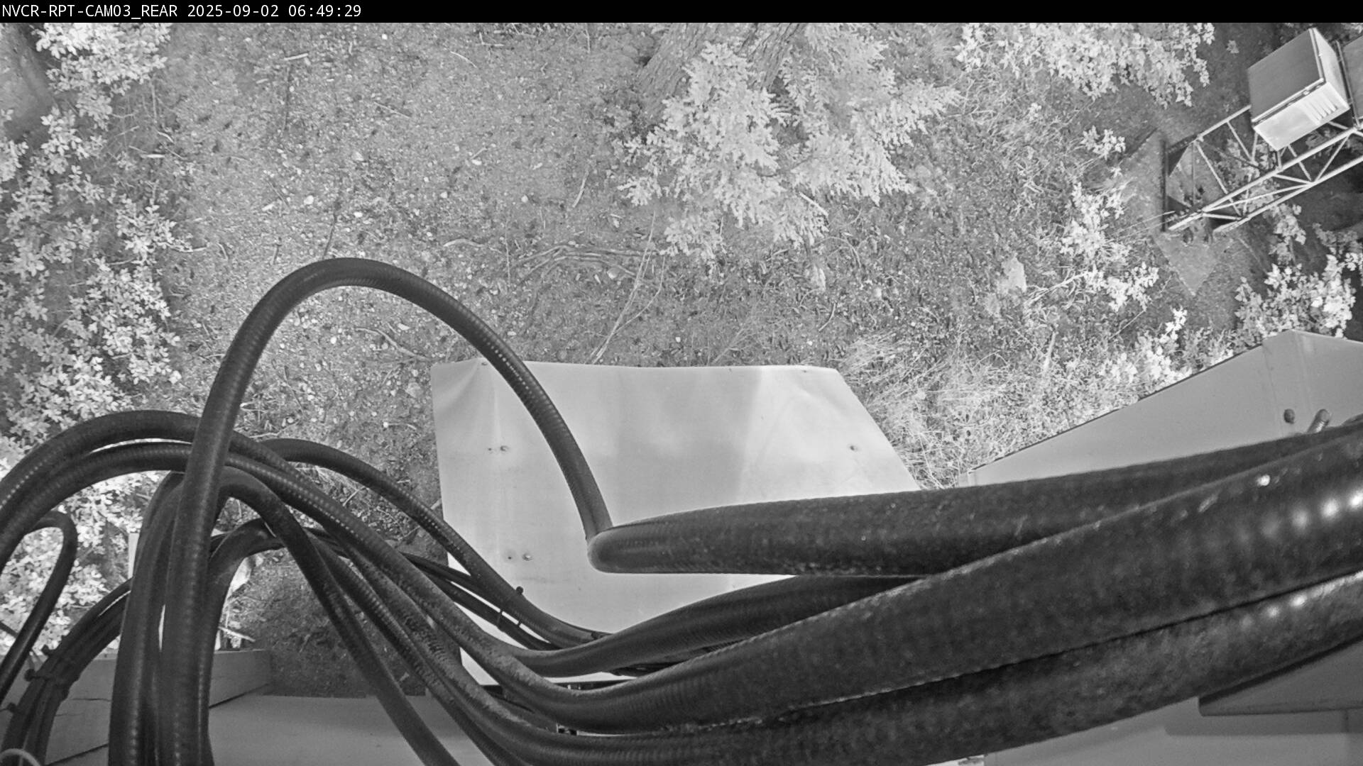 Web Cam History Image - 383