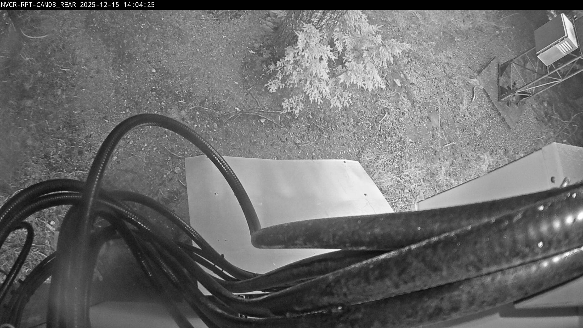 Web Cam History Image - 383