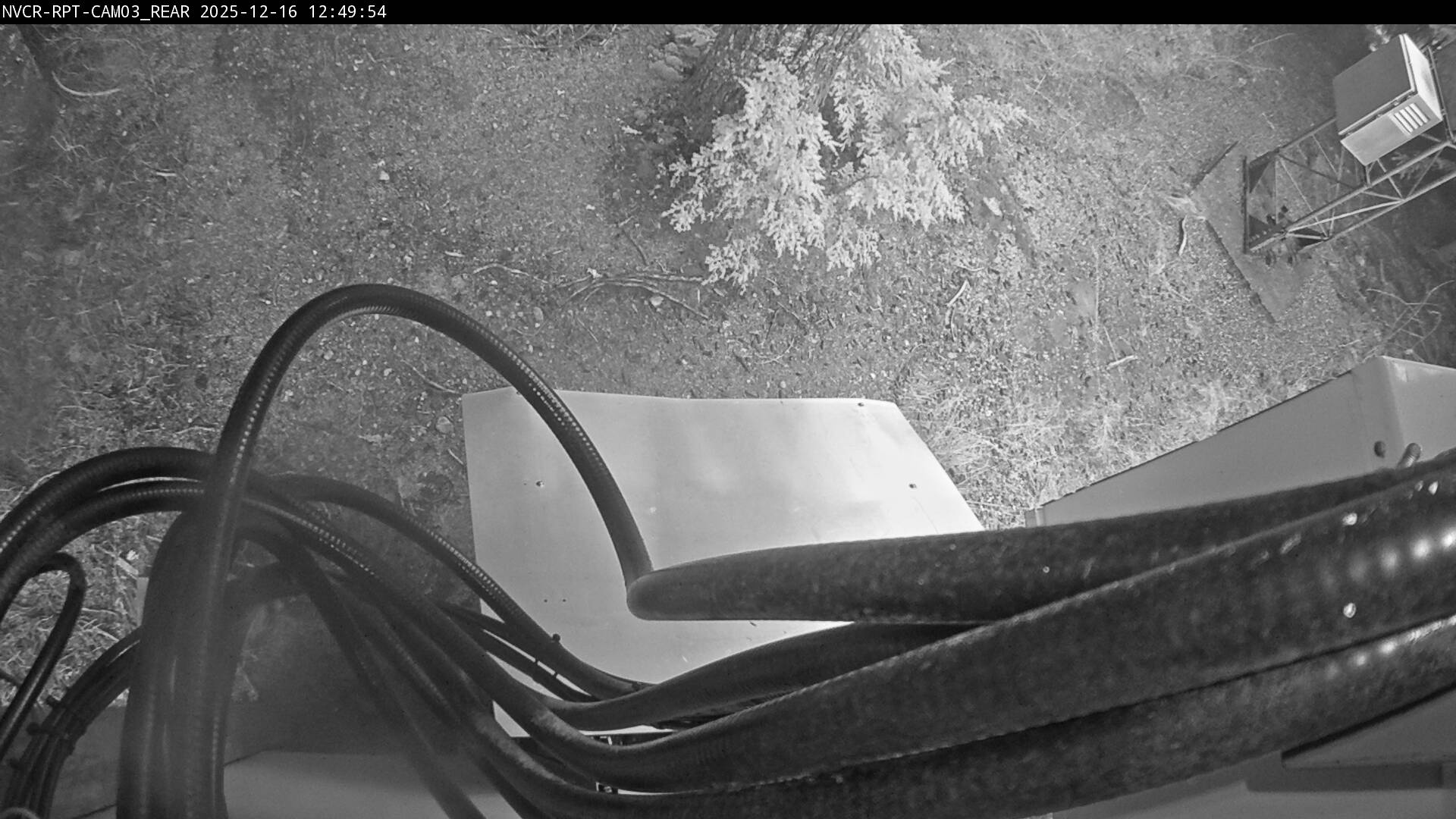 Web Cam History Image - 384