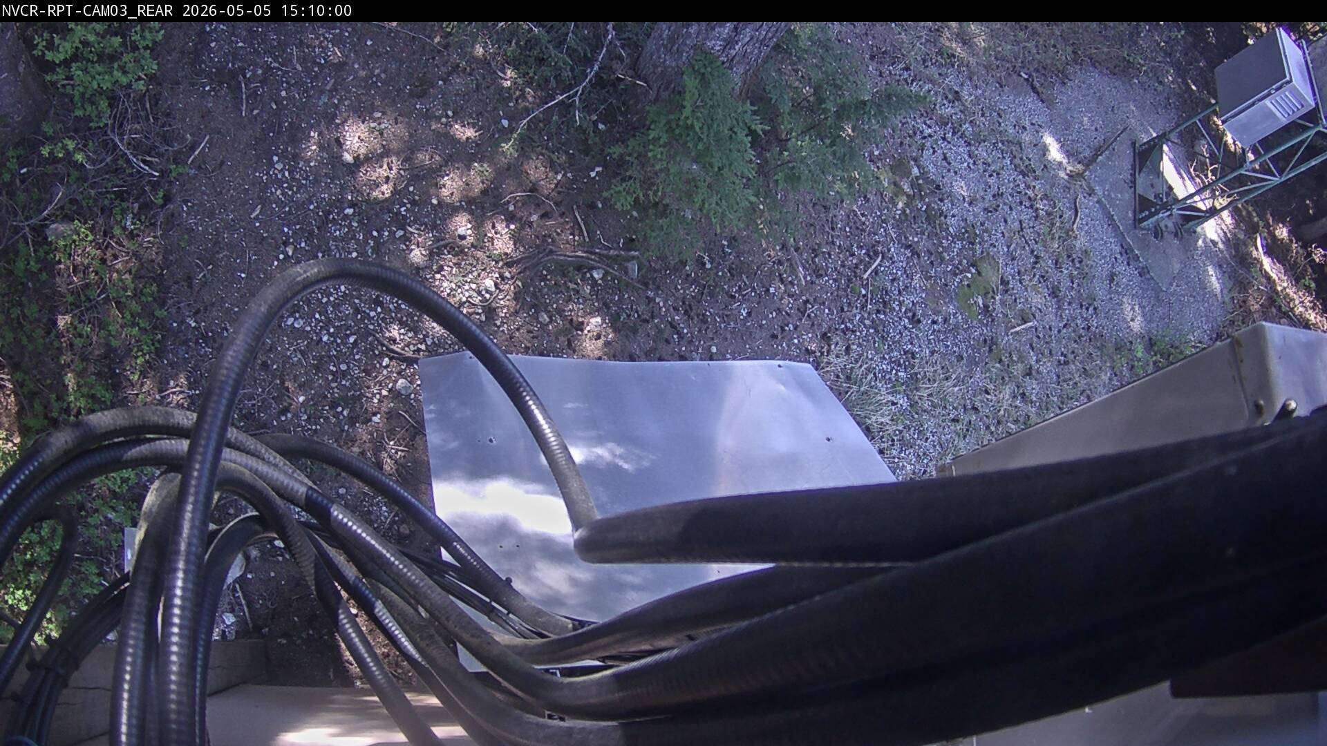 Web Cam History Image - 384