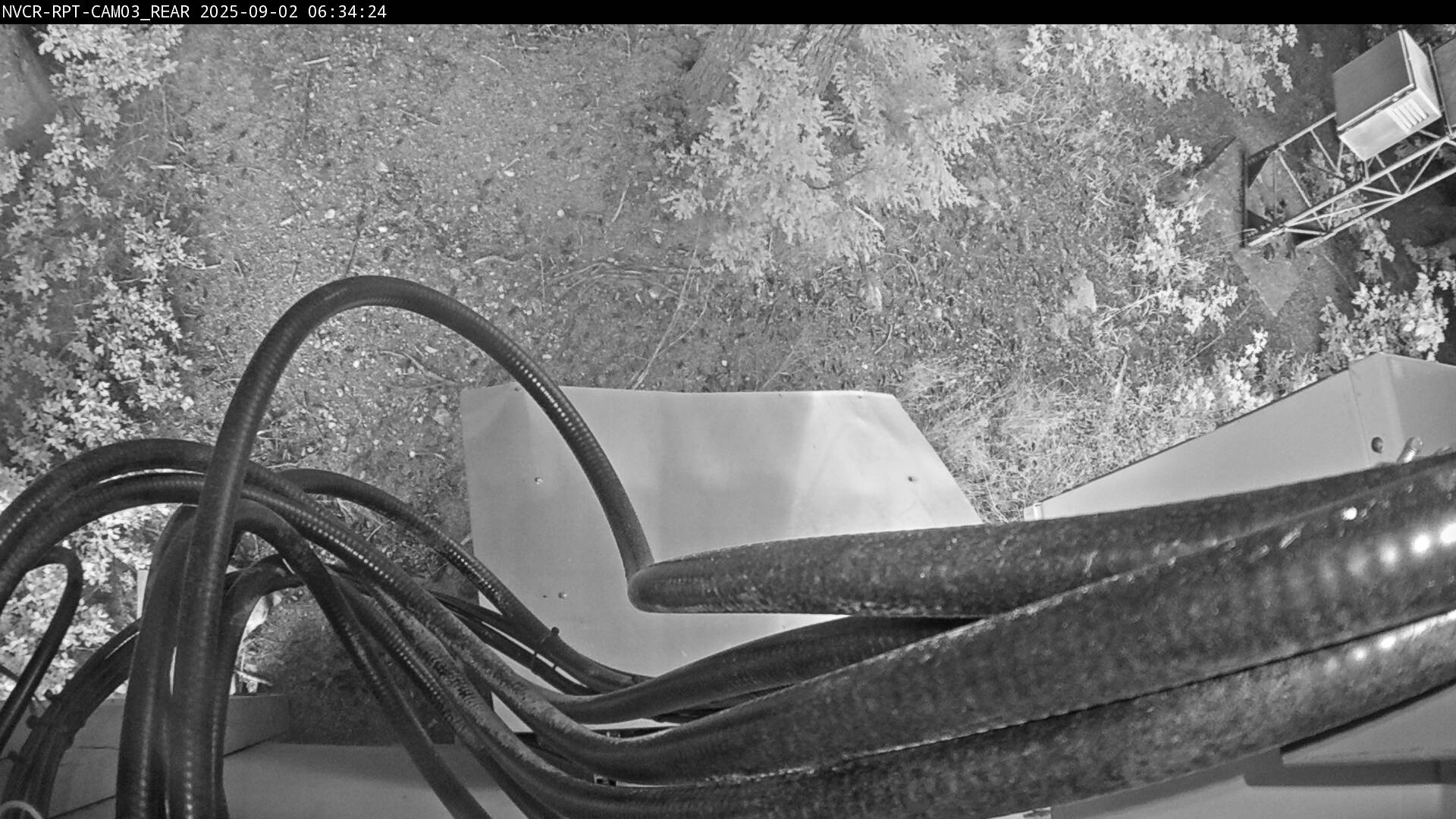 Web Cam History Image - 385