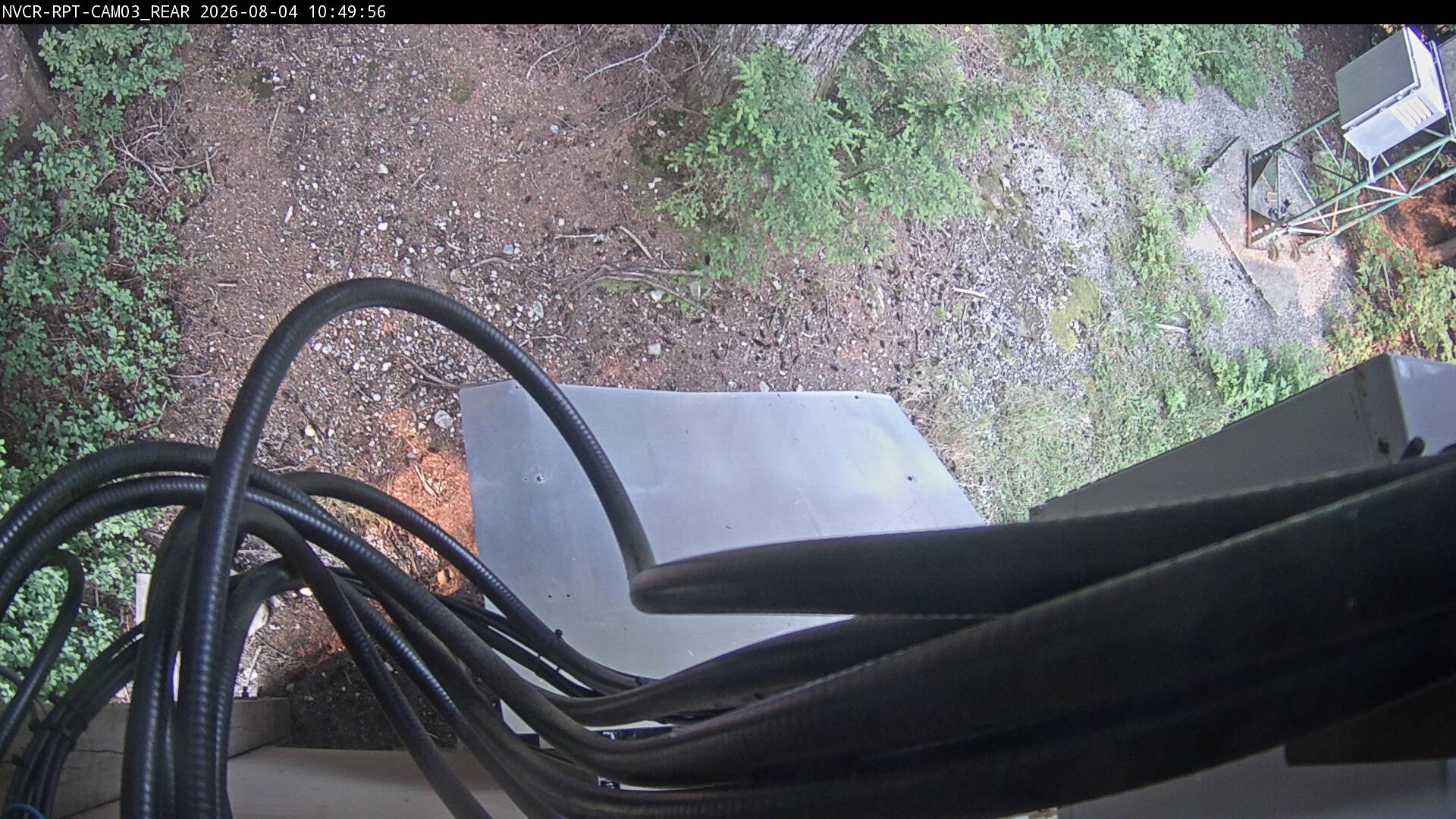 Web Cam History Image - 386