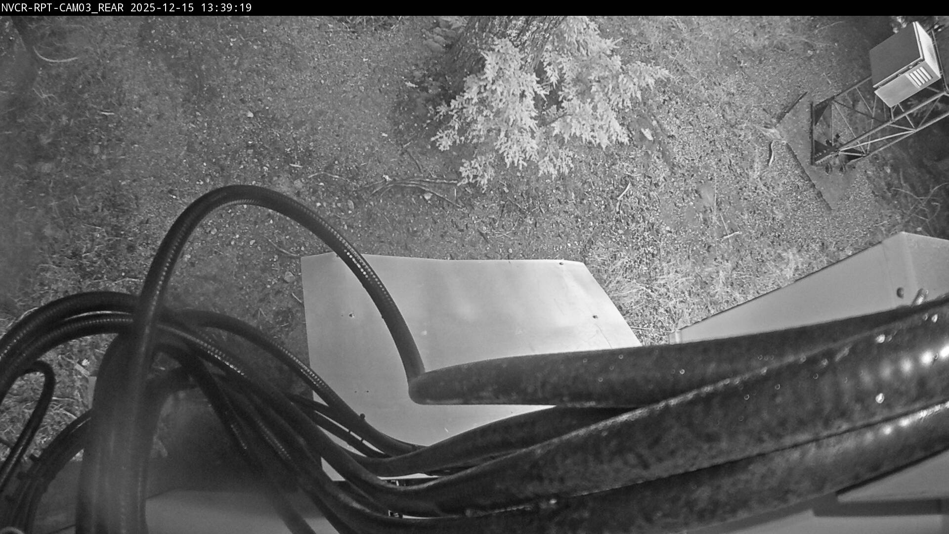 Web Cam History Image - 387