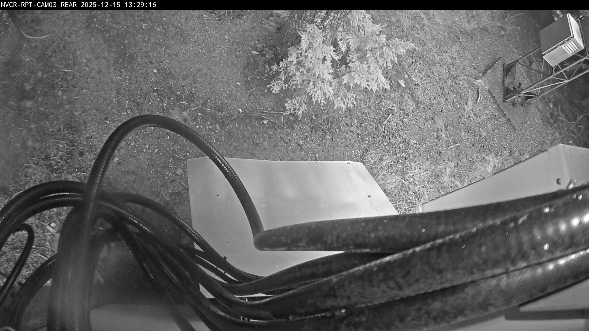 Web Cam History Image - 389