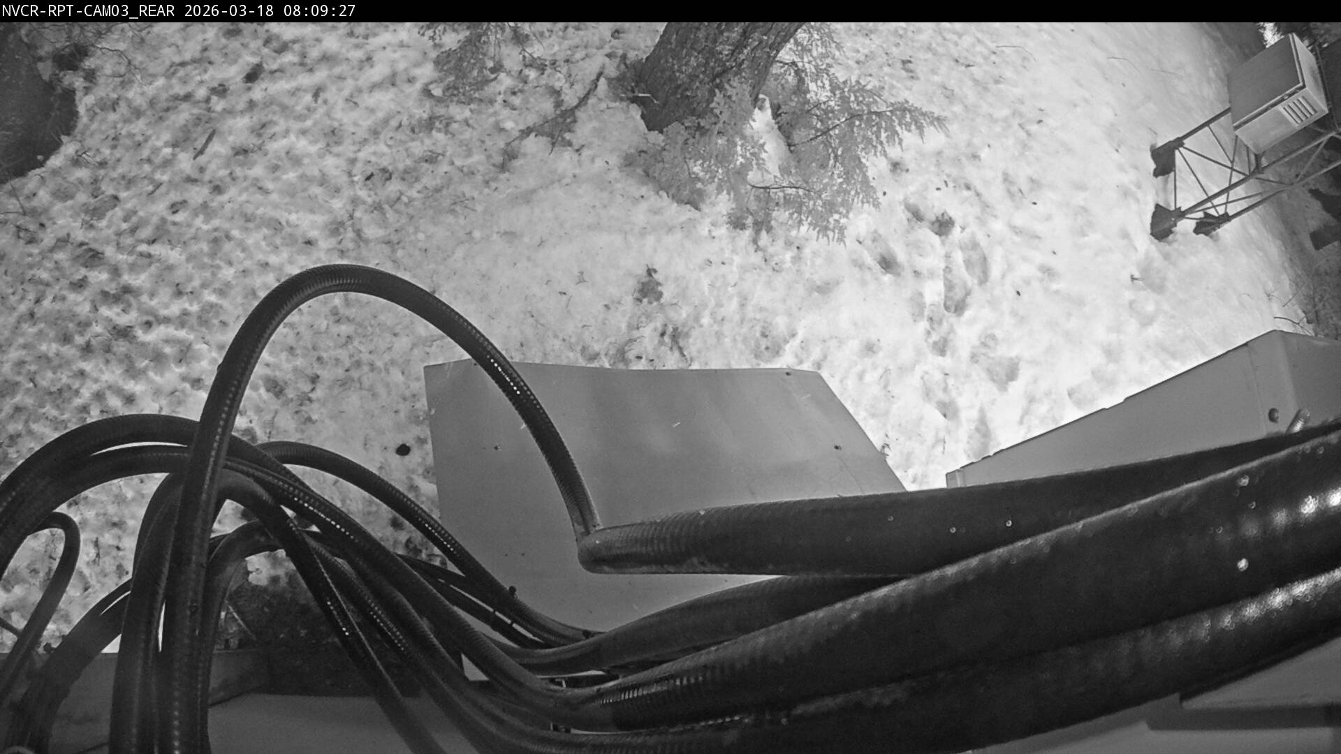 Web Cam History Image - 389