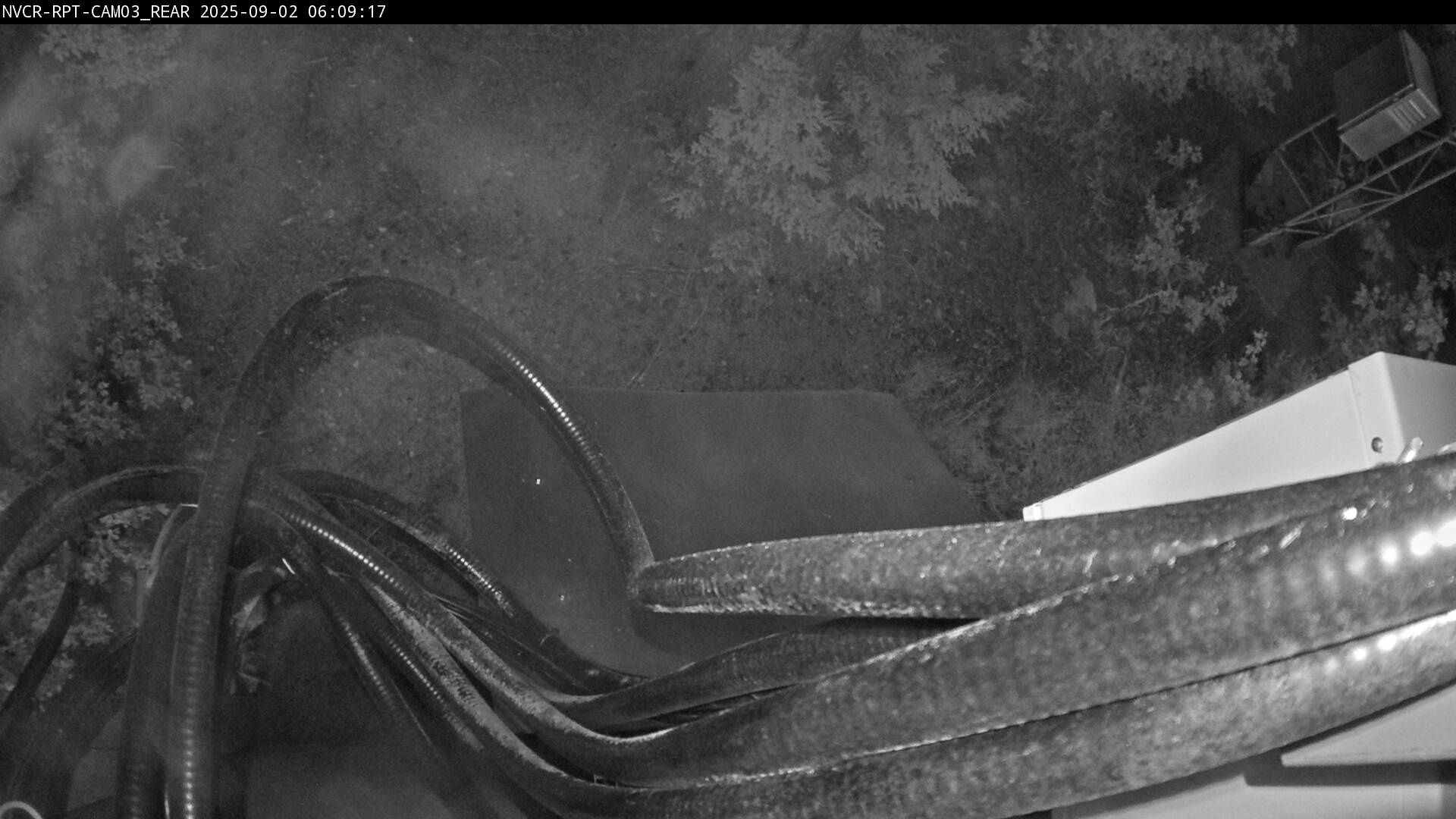Web Cam History Image - 390