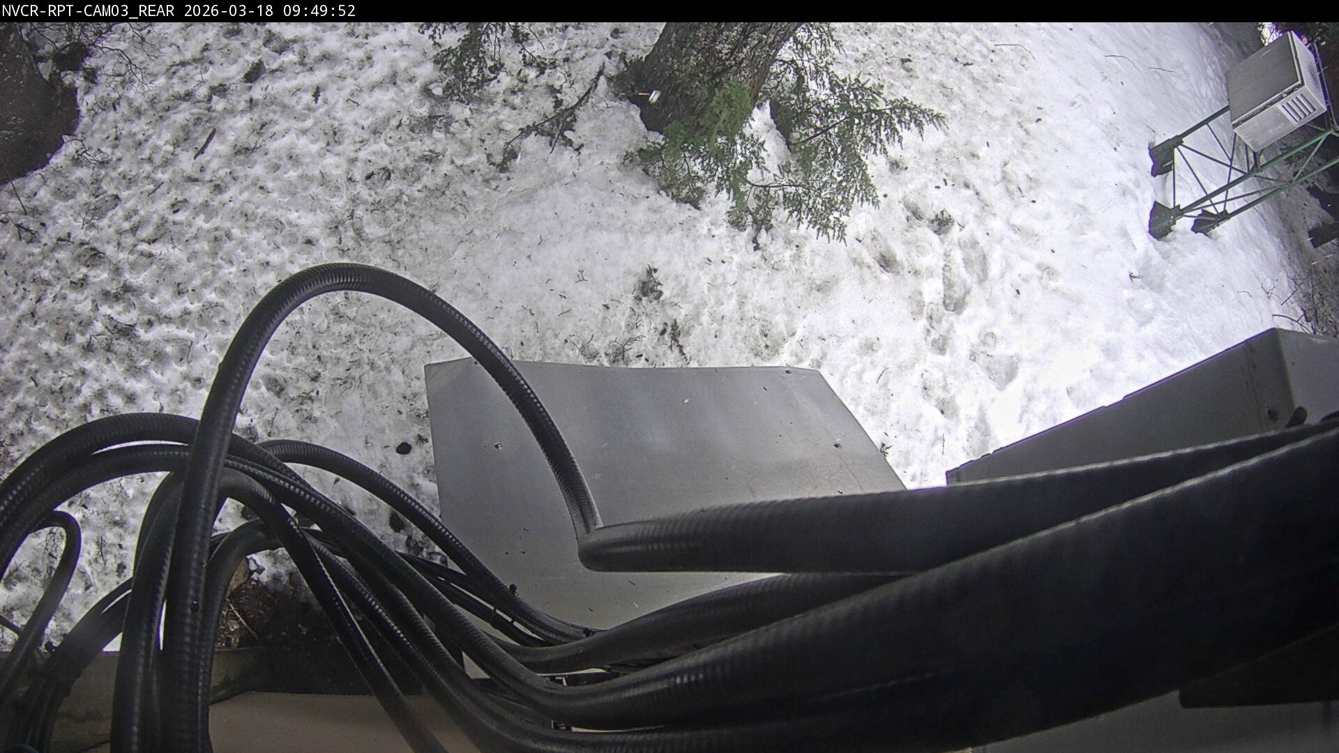 Web Cam History Image - 390