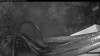 Web Cam Image - Tue, 06/02/2026 3:39am PDT