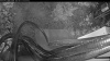 Web Cam Image - Sat, 06/13/2026 2:44am PDT