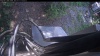 Web Cam Image - Mon, 07/13/2026 12:39pm PDT