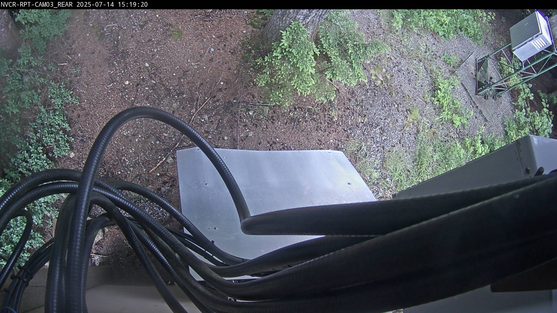 Web Cam History Image - 40