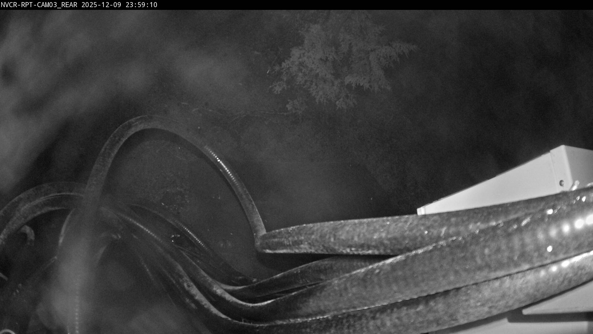 Web Cam History Image - 40