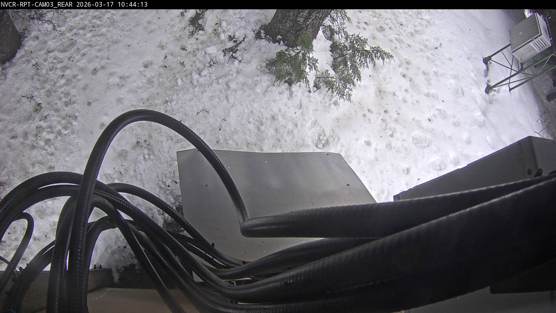 Web Cam History Image - 40