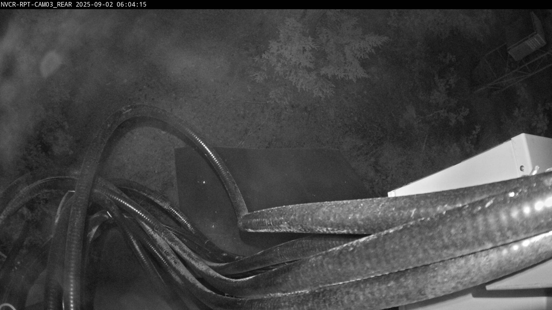 Web Cam History Image - 391