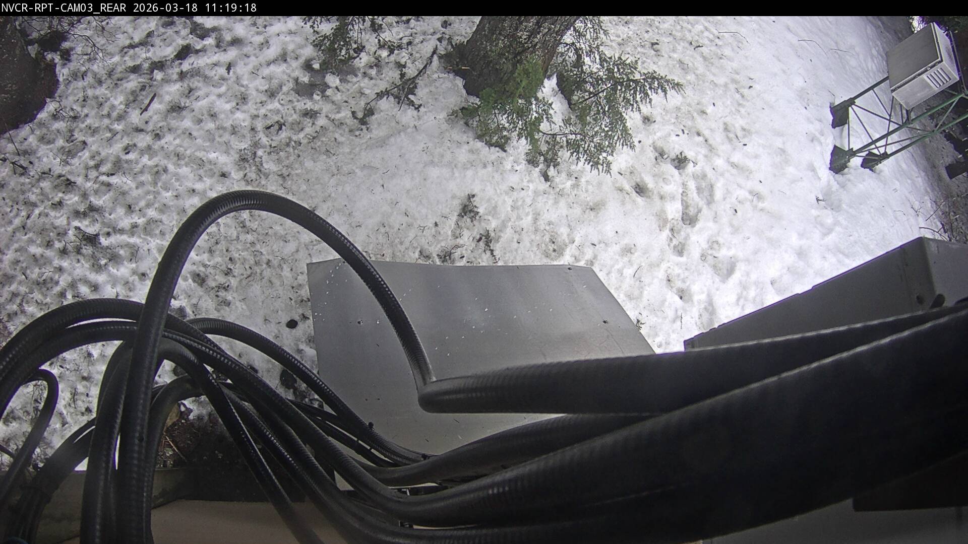 Web Cam History Image - 391