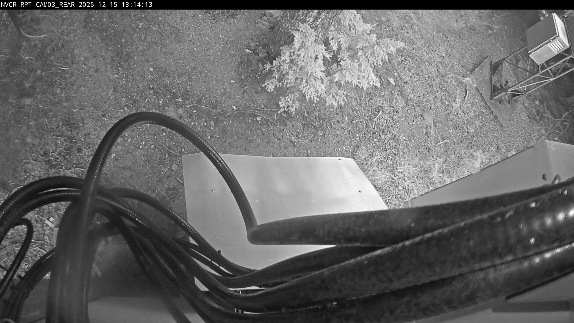 Web Cam History Image - 392