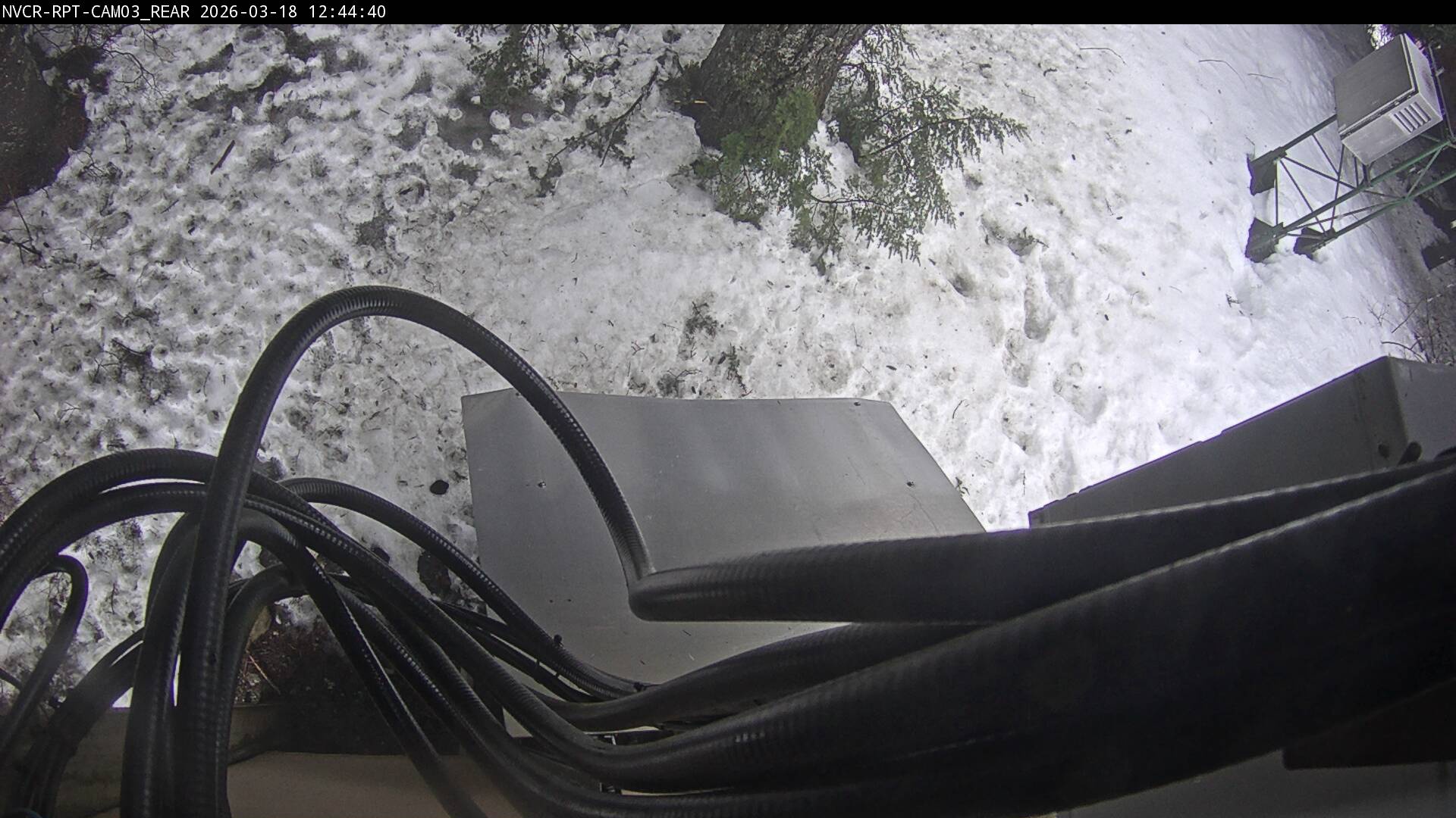 Web Cam History Image - 392