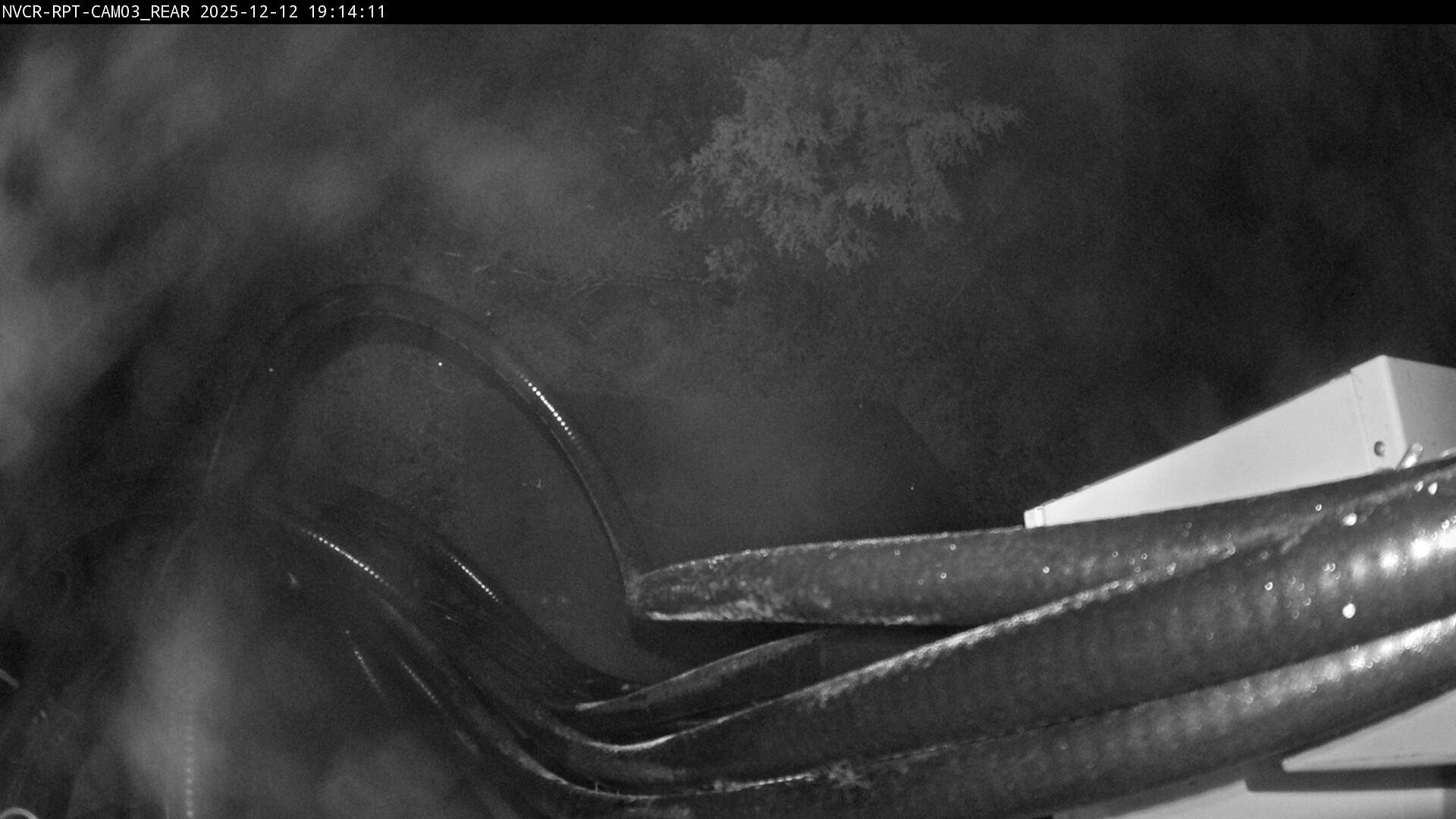 Web Cam History Image - 393