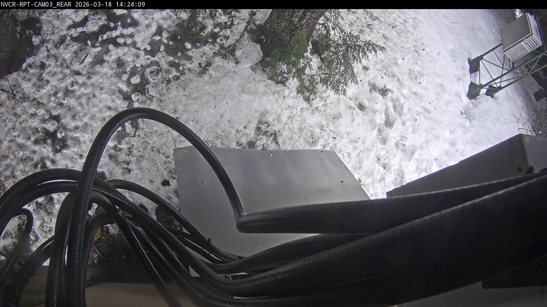 Web Cam History Image - 393