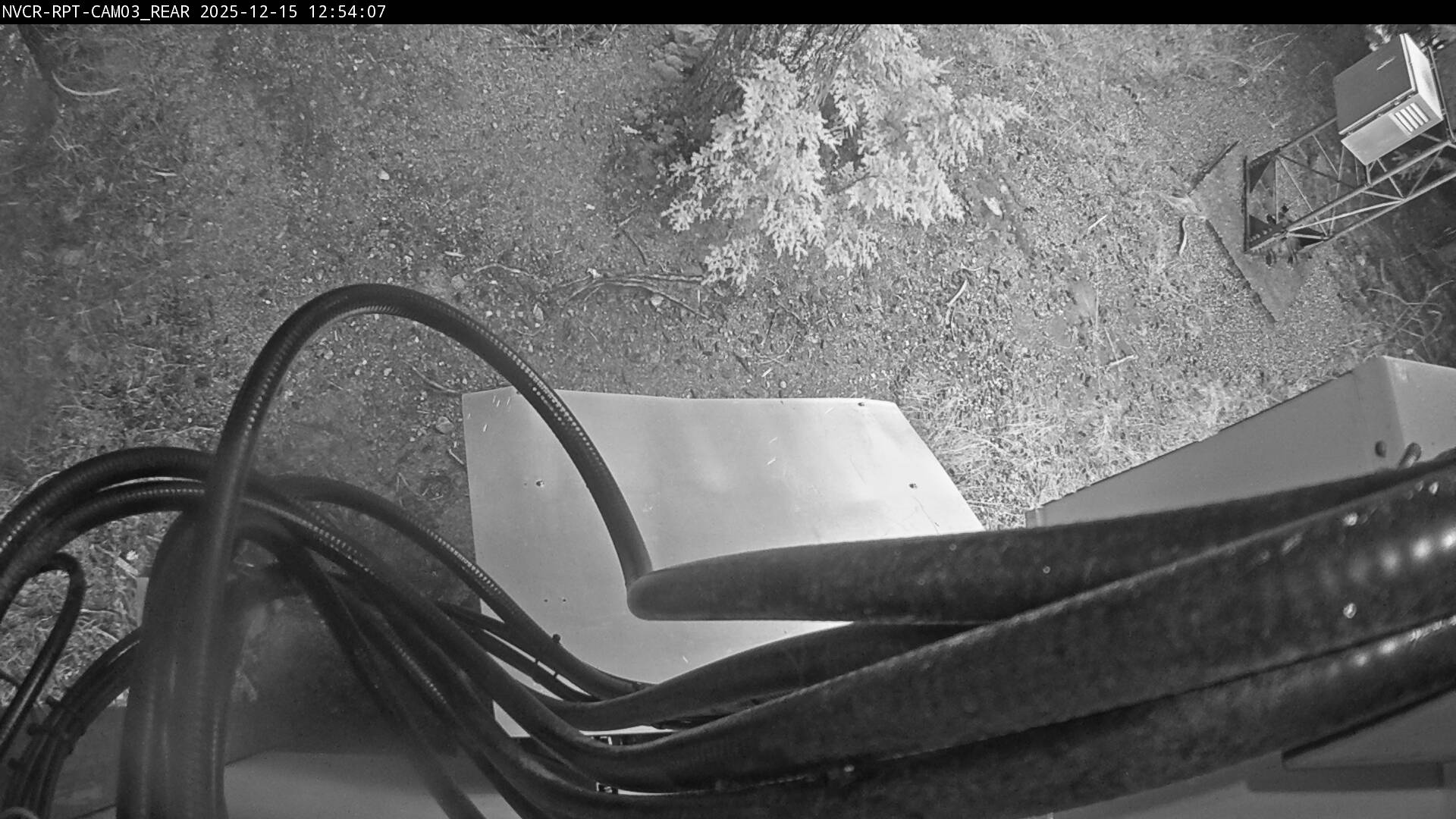 Web Cam History Image - 395