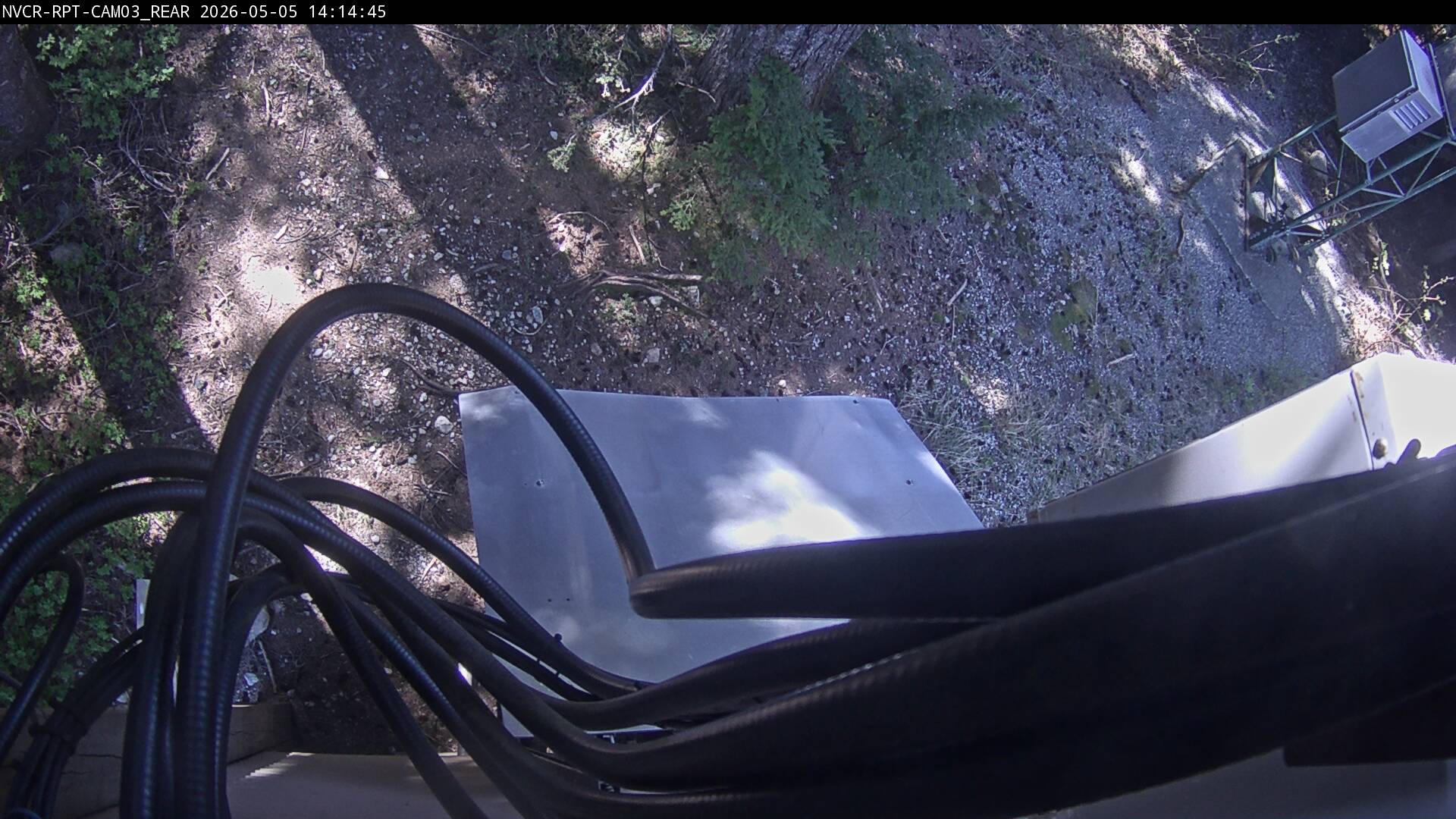 Web Cam History Image - 395