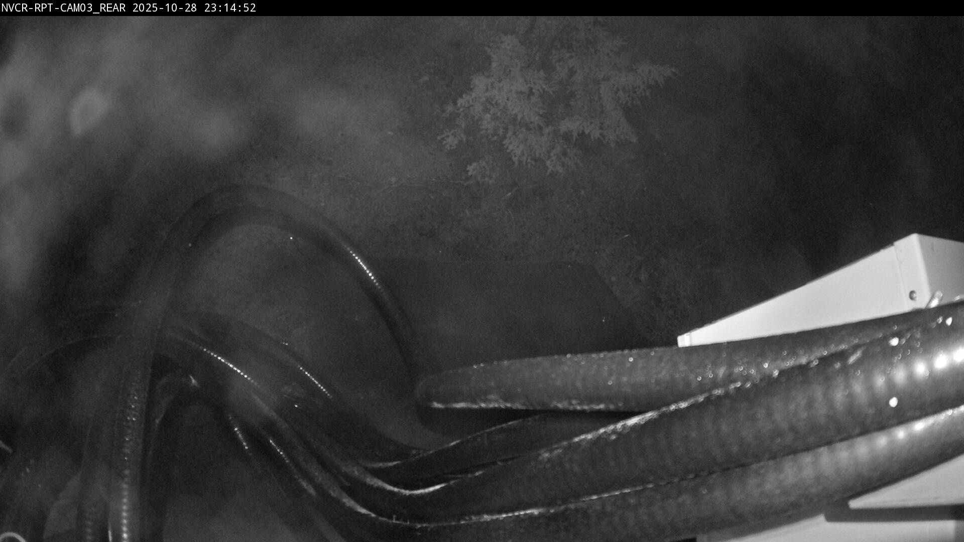 Web Cam History Image - 396