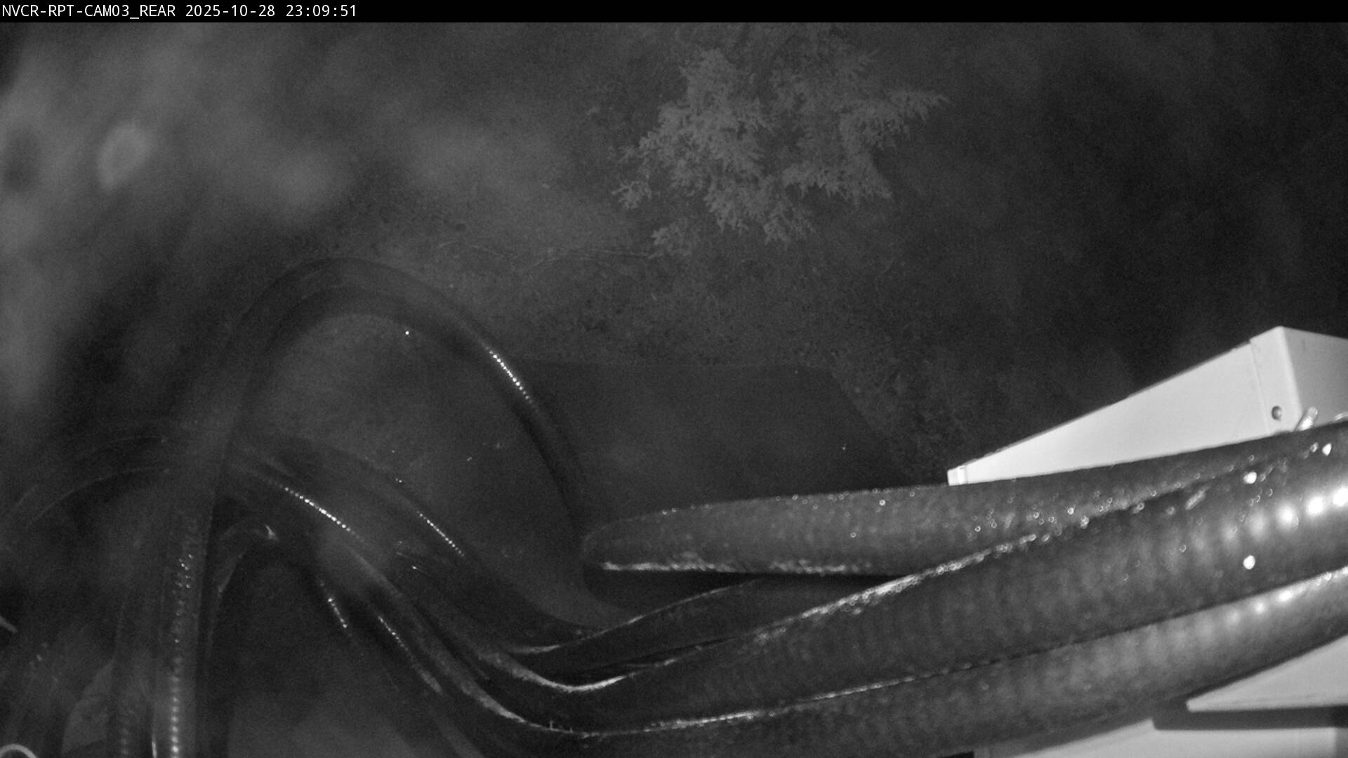 Web Cam History Image - 397