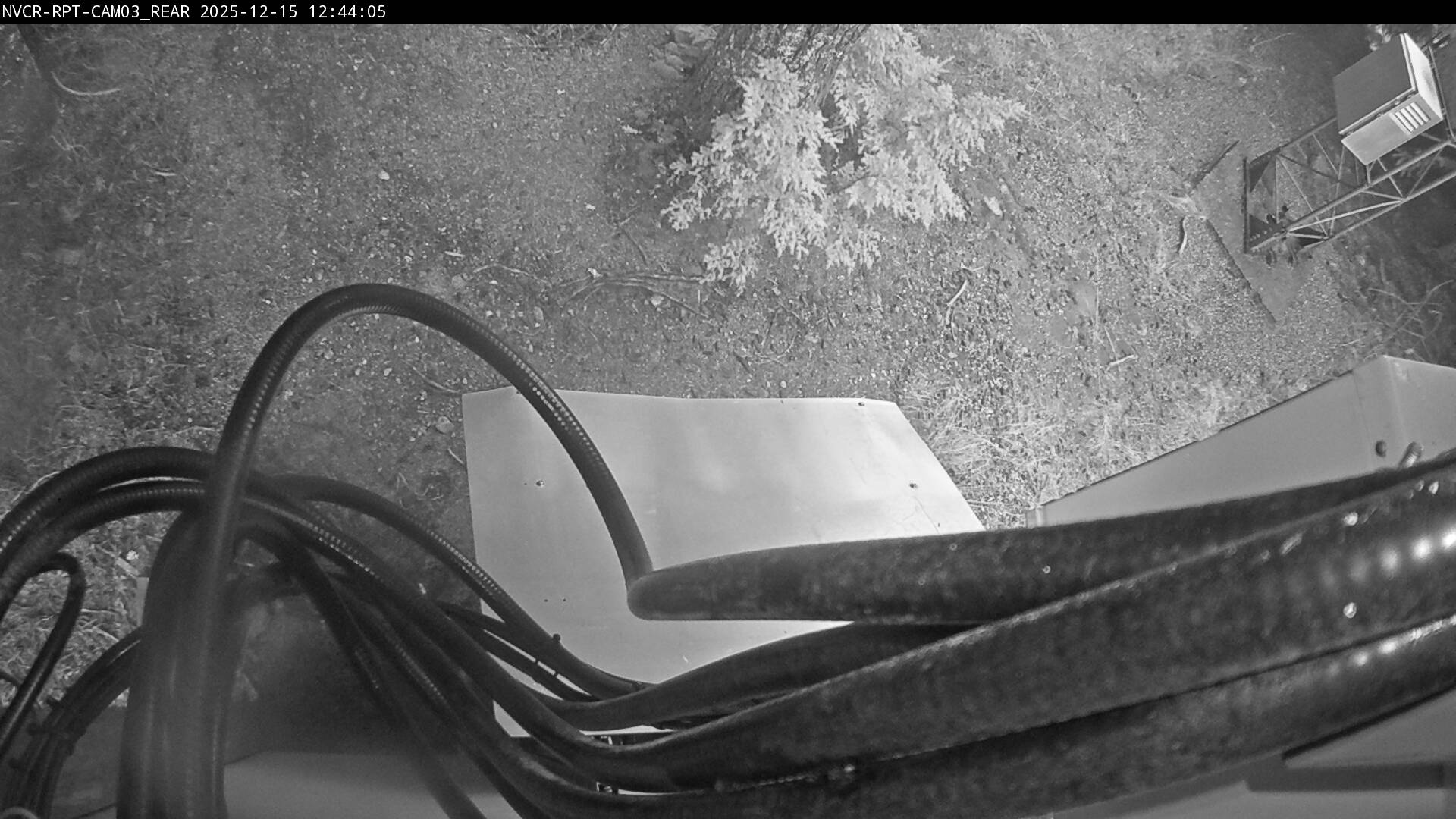 Web Cam History Image - 398