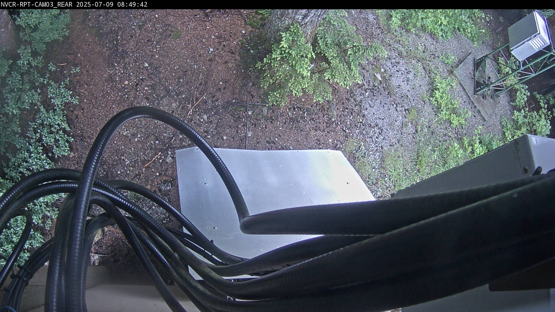 Web Cam History Image - 5
