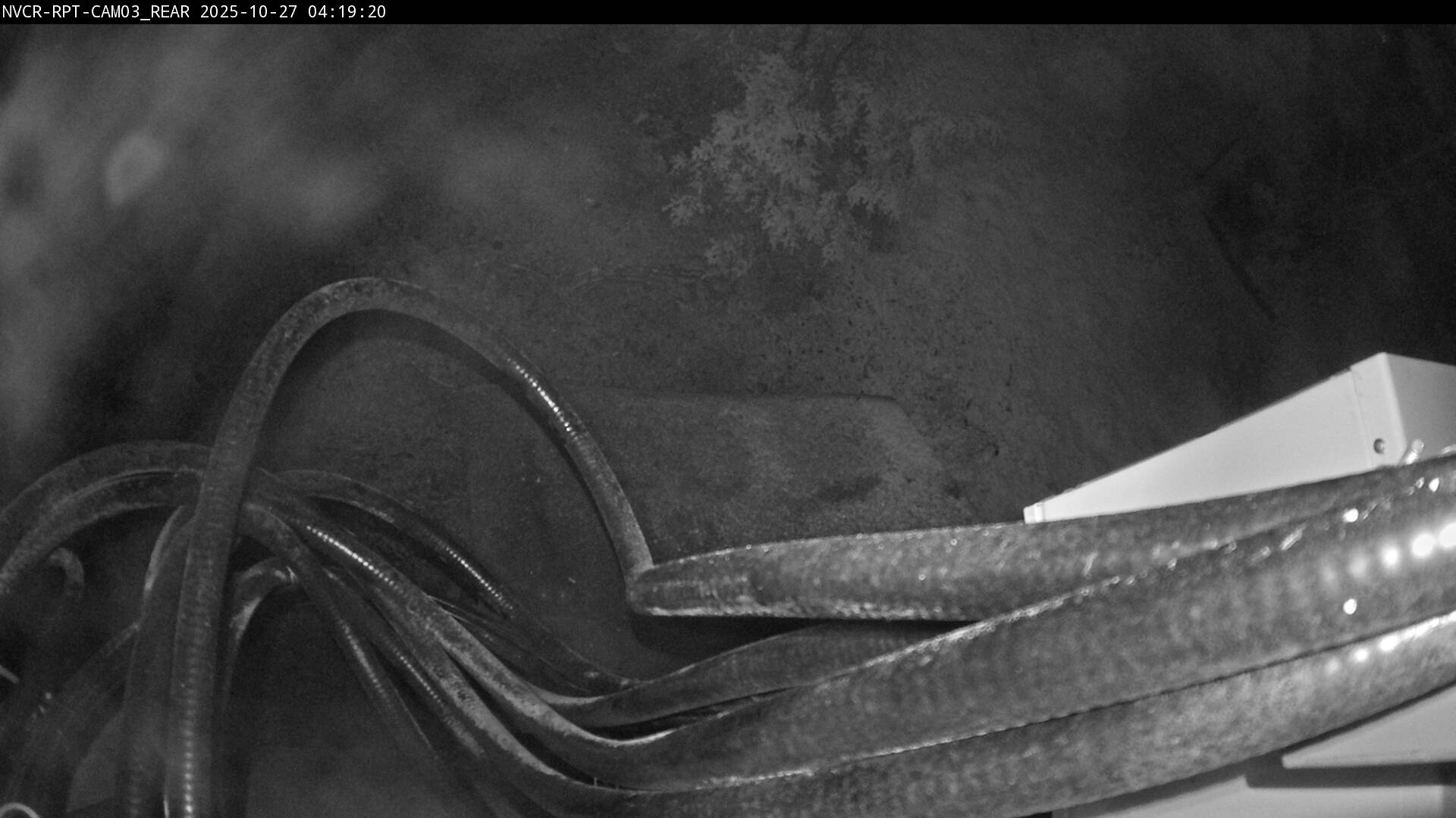 Web Cam History Image - 5