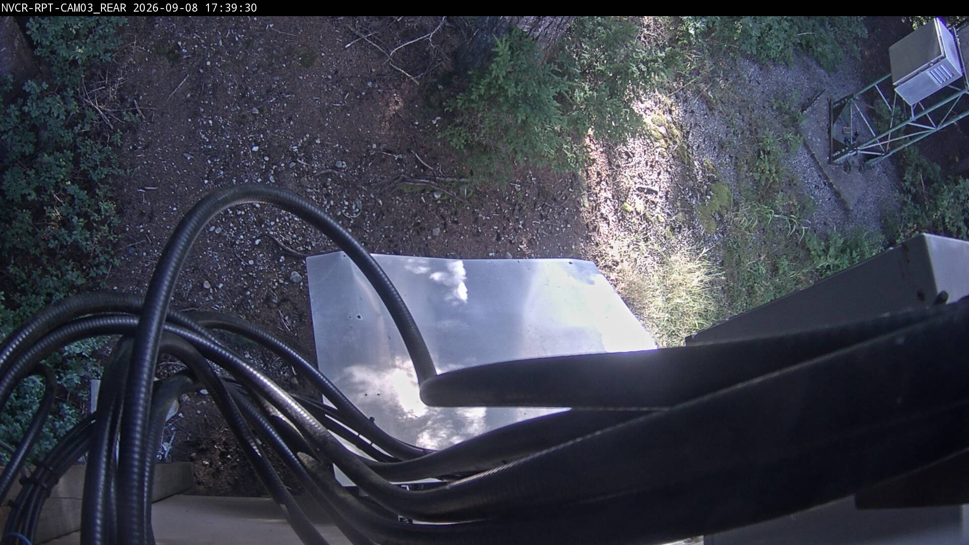 Web Cam History Image - 5