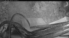 Web Cam Image - Wed, 06/17/2026 3:59am PDT
