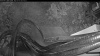 Web Cam Image - Fri, 07/10/2026 3:44am PDT