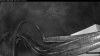 Web Cam Image - Mon, 09/28/2026 11:39pm PDT